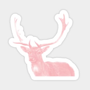 Hirsch 02 Sticker